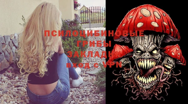 дживик Арсеньев
