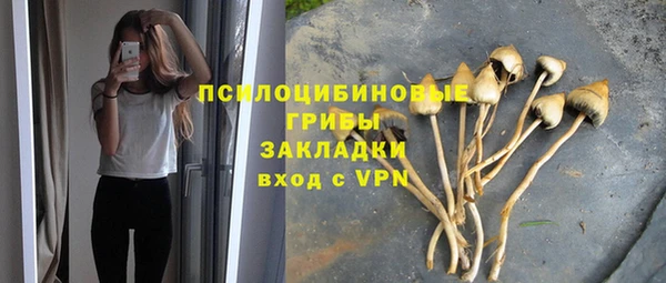 таблы Алексин